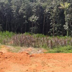 vyme11